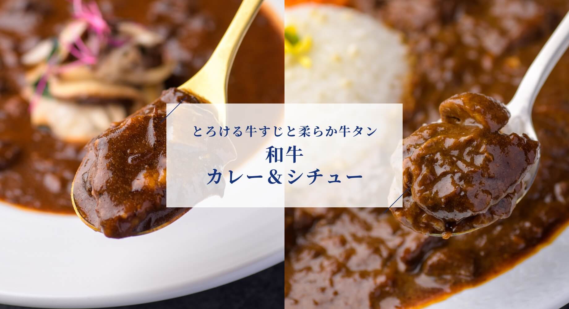 とろける牛すじと柔らか牛タン 仔虎の特選カレー＆シチュー