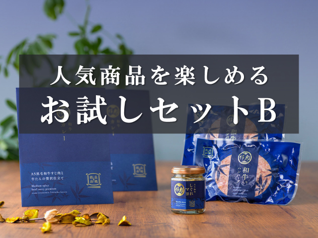 お試しセットB